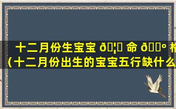 十二月份生宝宝 🦊 命 🌺 格（十二月份出生的宝宝五行缺什么）